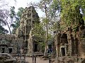 Angkor Ta Prohm P0185